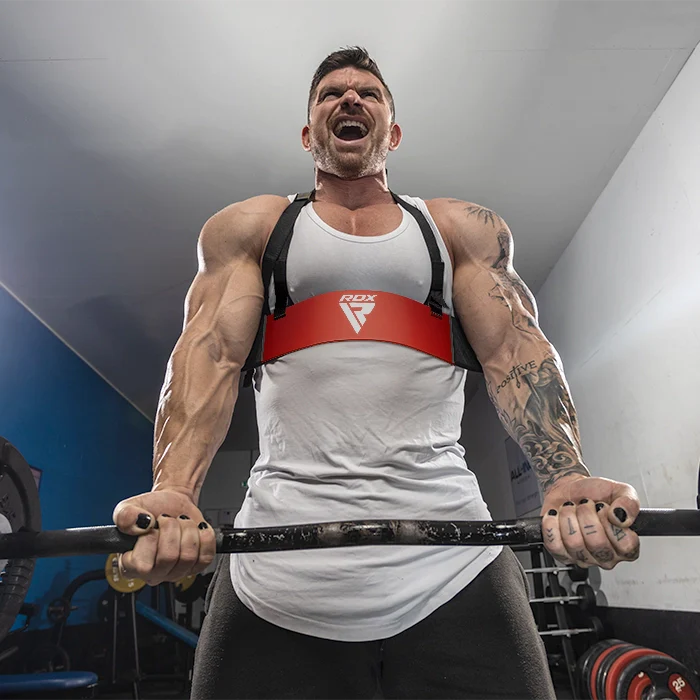 RDX T2 Arm Blaster Plus pour curls biceps - Image 10